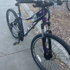 2023 Hiland Gamille Purple and Green