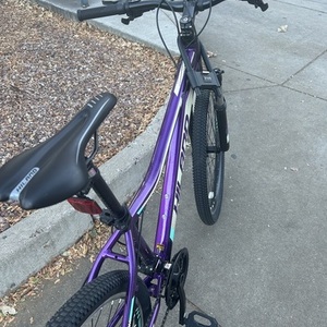 2023 Hiland Gamille Purple and Green