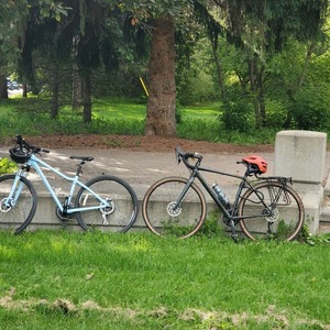 2020 Cannondale Gravel Silver, gray or bare metal