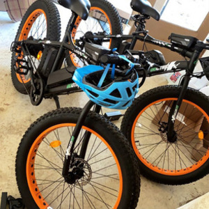 2021 EcoTric Sport Cool Black and Orange