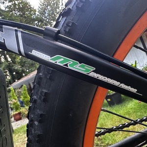 2021 EcoTric Sport Cool Black and Orange