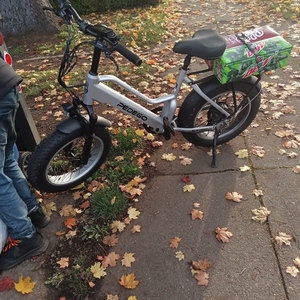 Pedego Silver, gray or bare metal