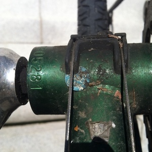 2009 Fuji Touring Brown and Green