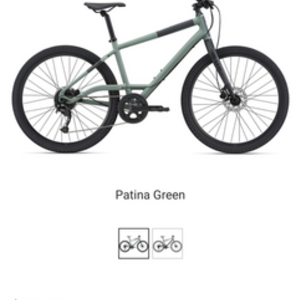 2023 Momentum iRide UX 9S Regular Green