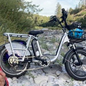 2022 Rad Power Bikes Rad runner plus Silver, gray or bare metal