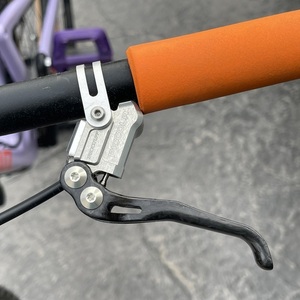 2021 Santa Cruz Blur Purple