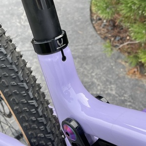 2021 Santa Cruz Blur Purple