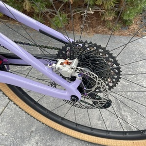 2021 Santa Cruz Blur Purple