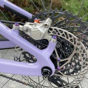 2021 Santa Cruz Blur Purple