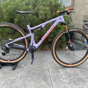 2021 Santa Cruz Blur Purple