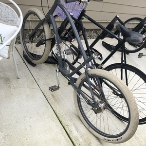 2023 Electra Townie Silver, gray or bare metal