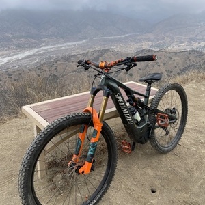 2021 Specialized Levo Comp Green