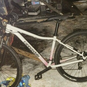 Cannondale Trail 7 White