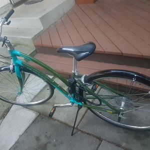 2012 Electra Verse Teal and Green