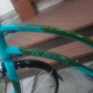 2012 Electra Verse Teal and Green
