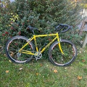 2002 Bianchi Road Yellow or Gold