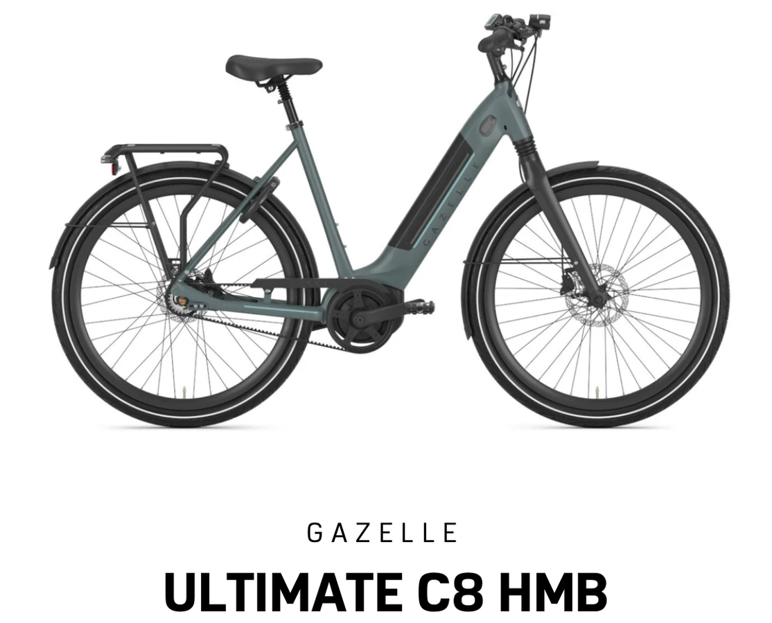 petrol night gazelle