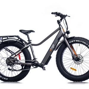 2022 EBGO Alloy Silver, gray or bare metal