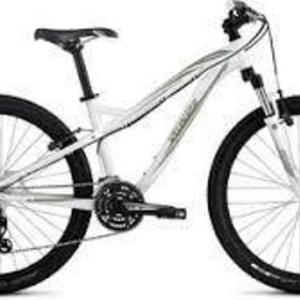 2010 Specialized White and Green