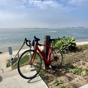 2017 Trek Domane SL6 Red