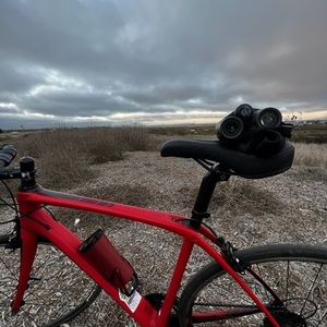 2017 Trek Domane SL6 Red