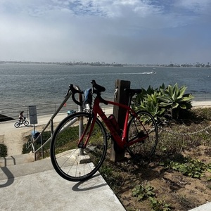 2017 Trek Domane SL6 Red