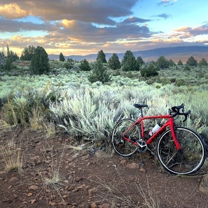 2017 Trek Domane SL6 Red