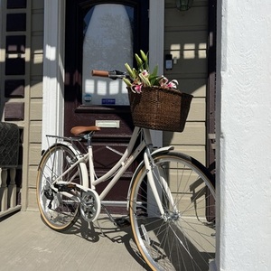 Retrospec beaumont White and Brown