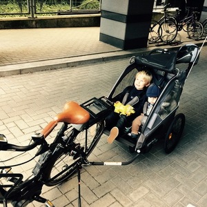 2015 Riese und Müller Swing 52 Black