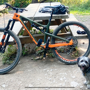 2019 Rocky Mountain Bicycles Instinct C70 Orange and Green