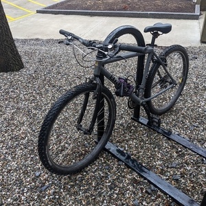Bianchi Ocelot Silver, gray or bare metal and Black