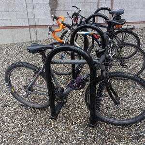 Bianchi Ocelot Silver, gray or bare metal and Black