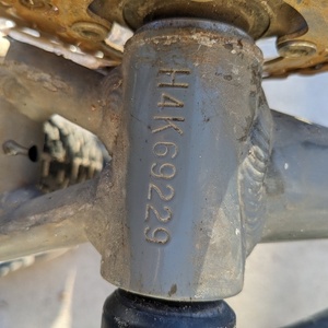 Bianchi Ocelot Silver, gray or bare metal and Black