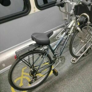 Trek Navigator 200 Silver, gray or bare metal