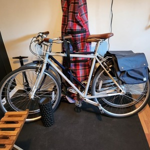 2022 Priority Bicycles Brilliant L Train Silver, gray or bare metal