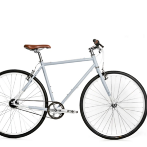 2022 Priority Bicycles Brilliant L Train Silver, gray or bare metal