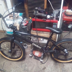 2022 Fit bike Co. TRL Black