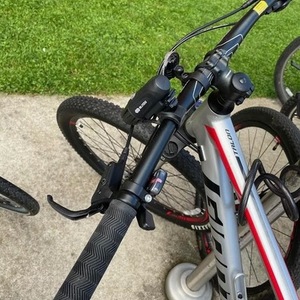 2019 Giant Talon 3 Silver, gray or bare metal