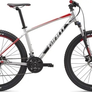 2019 Giant Talon 3 Silver, gray or bare metal