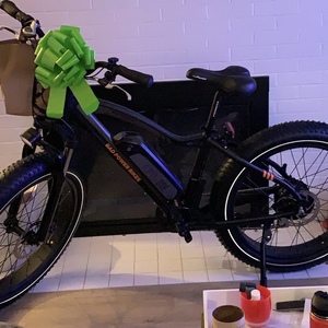 2019 Rad Power Bikes Rad Rover Black