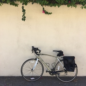 2010 Specialized Allez Elite Compact White and Black