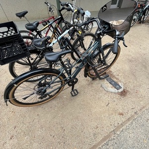 2023 Kona Coco Green