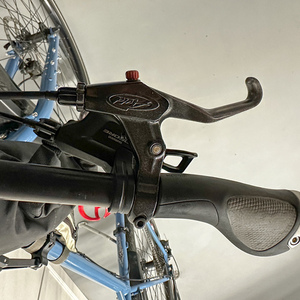 2020 Surly Ogre Blue