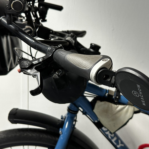 2020 Surly Ogre Blue