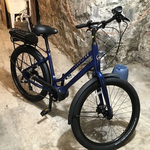 2019 Giant Medium Step Through Blue