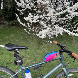 2021 Kona Dew Plus Green