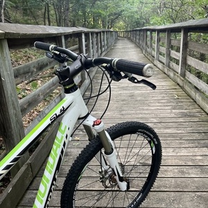 2012 Cannondale White