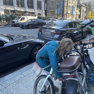 Rad Power Bikes Rad runner plus Silver, gray or bare metal