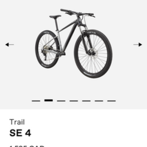 2021 Cannondale Trail SE 4 Black and Silver, gray or bare metal