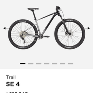 2021 Cannondale Trail SE 4 Black and Silver, gray or bare metal